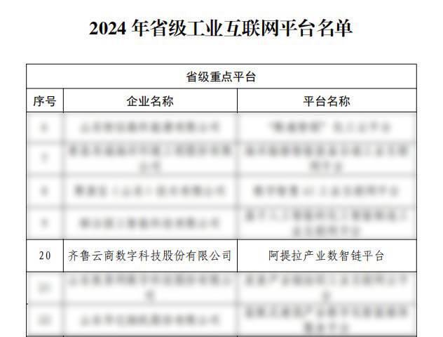 开云kaiyun体育：齐鲁云商：胜利入选2024年省级工业互联网平台(图2)