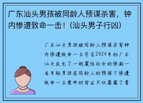 广东汕头男孩被同龄人预谋杀害，钟内惨遭致命一击！(汕头男子行凶)